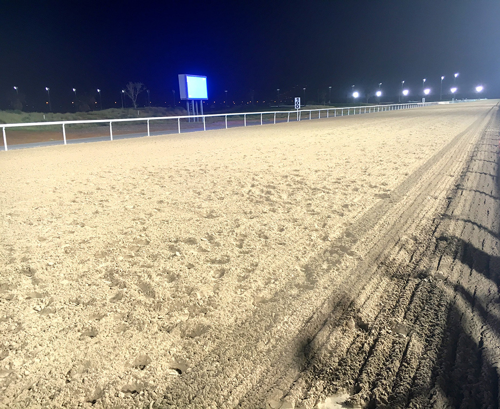 Al Ain Horse racing track