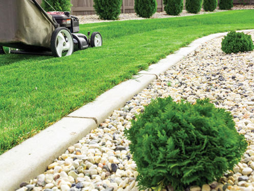 Hydroseeding for Landscaping