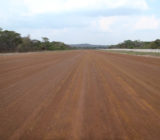 Upgrade of Tulawaka airstrip using EBS Surface Seal