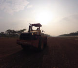 Tulawaka airstrip preparation