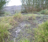 dust abatement for mine tailings