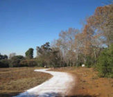 gravel road dust prevention