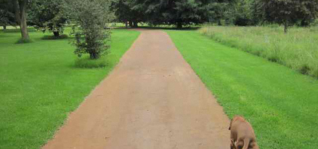 gravel road dust suppression