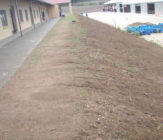 berm stabilization