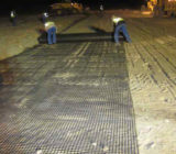 geogrid erosion prevention