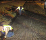 Geogrids for soil reinforcement