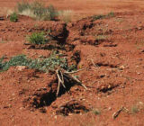 Stockpile water erosion control