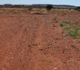 Stockpile Dust Prevention