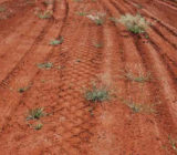 Stockpile Dust Containment