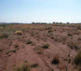 Stockpile Dust Abatement