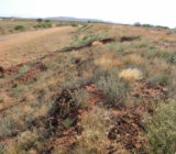 Erosion prevention on slopes