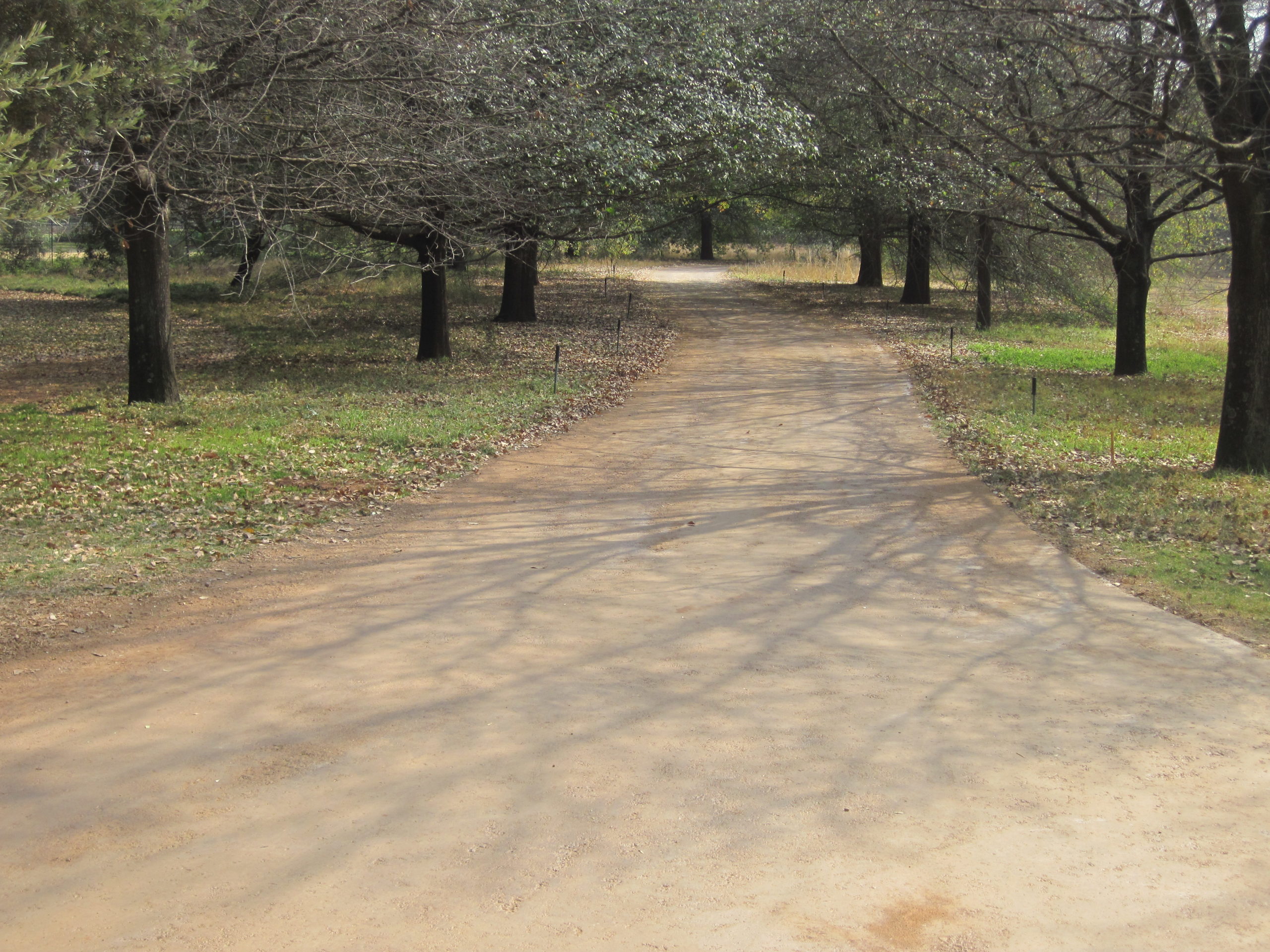 Sealed Gravel Road