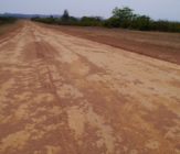 Conforzi Plantation Airstrip after 8 years