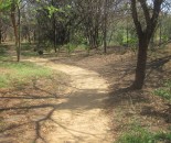 Wheelchair pathway constructed with EBS Soil Stabilizer