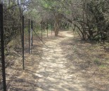 Wheelchair Pathway construction