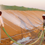 erosion control and slope stabilization