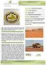 RESOLUTE-MINING-SYAMA-MINE-AIRSTRIP-PROJECT