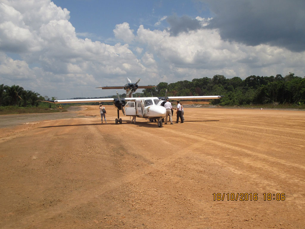 Aircraft landing and inspection