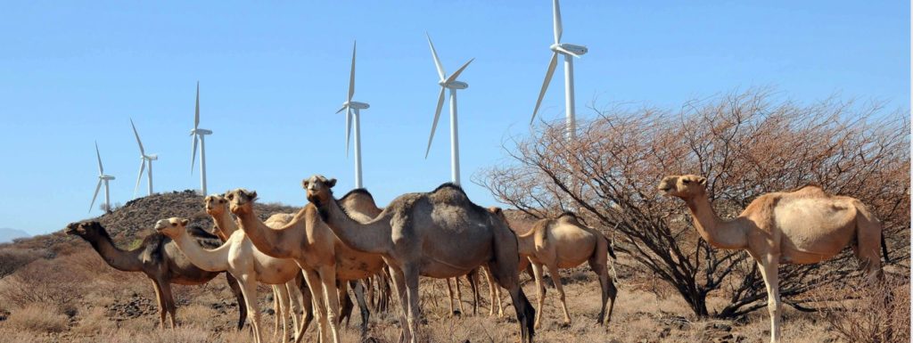 Soil Solutions: Lake Turkana Wind Power Project - Kenya Update