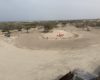 Sir Bani Yas Island-  UAE