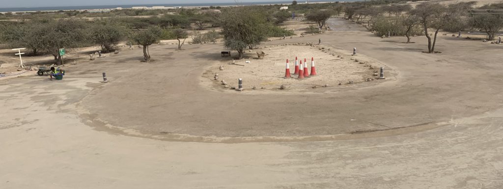 Sir Bani Yas Island-  UAE