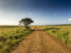 Gravel Road Solutions Africa Banner