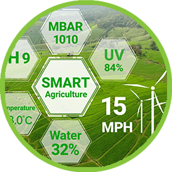 Intelligent agriculture