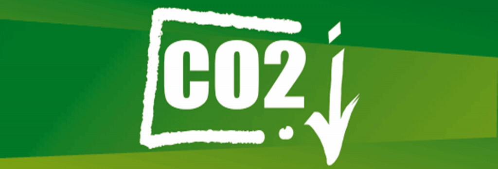 eco1 1024x349 1